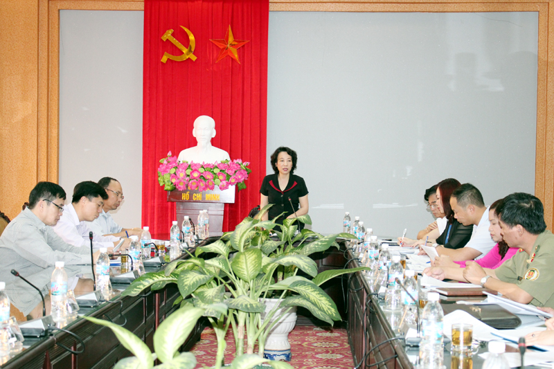Đồng chí Vũ Thị Thu Thủy, Phó Chủ tịch UBND tỉnh kết luận tại buổi làm việc với TP Móng Cái